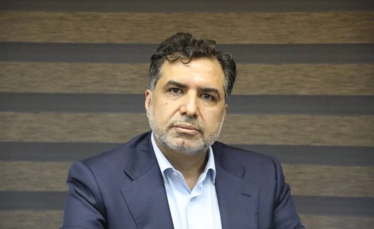مدیرعامل شرکت گسترش سرمایه گذاری ایران خودرو